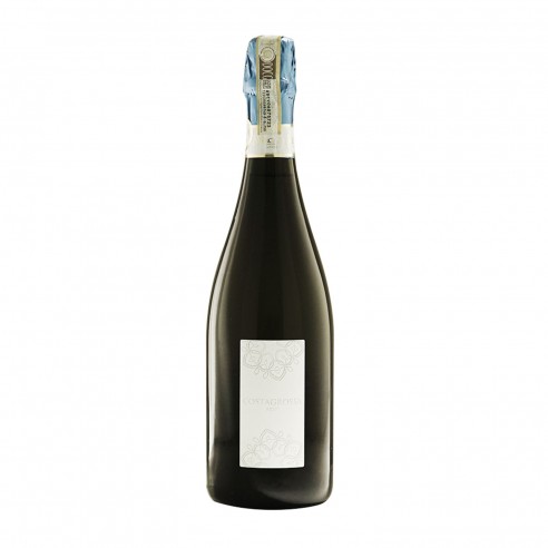 COSTAGROSSA PINOT NERO O.P. 36m 75cl  - MARCHESI DI MONTALTO