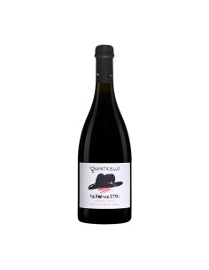 NEROMAESTRI LAMBRUSCO fermentazione in bottiglia 75cl -...