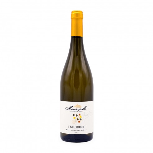 GERMOGLI VIVACE vinificato in bianco 75cl 2021 - MONSUPELLO