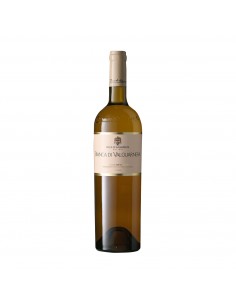 BIANCA DI VALGUARNERA 75cl 2019 - DUCA DI SALAPARUTA