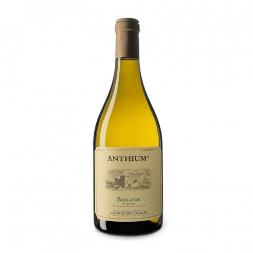 ANTHIUM bellone 1,5lt 2021 AST - CASALE DEL GIGLIO