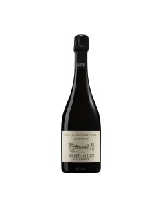 EXTRA BRUT "DANS UN PREMIER TEMPS..." 75cl  - DHONDT-GRELLET