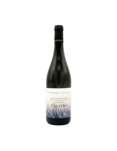 CA'LITRO CESANESE DI OLEVANO bio 75cl 2020 - RICCARDI REALE