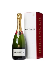 SPECIAL CUVEE' BRUT 75cl AST  - BOLLINGER