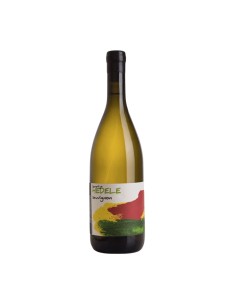 SAUVIGNON 75cl 2018 - HEDELE
