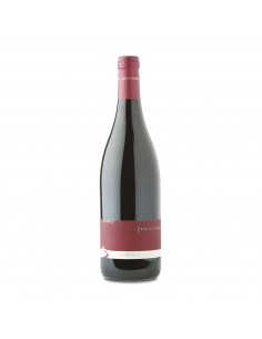 PLAGNIS VENEZIA GIULIA ROSSO 75cl 2020 - SGUBIN RENZO