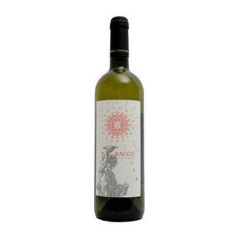 VERDICCHIO CORONCINO 75cl 75cl 2024 - IL CORONCINO