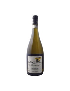 FIANO D'AVELLINO VIGNA CONGREGAZIONE 75cl 2024 - VILLA...