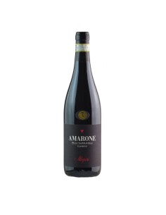 AMARONE CLASSICO 75cl 2019 - ALLEGRINI