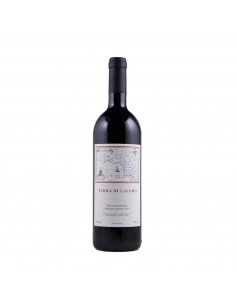 TERRA DI LAVORO bio 75cl 2022 - GALARDI
