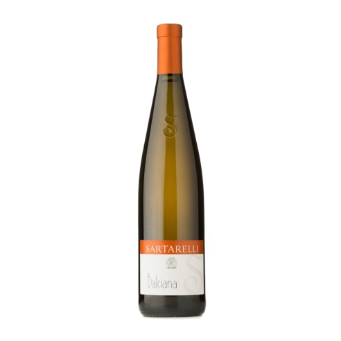 VERDICCHIO BALCIANA 75cl 2020 - SARTARELLI