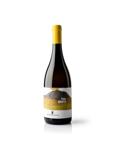 ETNA BIANCO RISERVA VILLAGRANDE 75cl 2019 - BARONE DI...