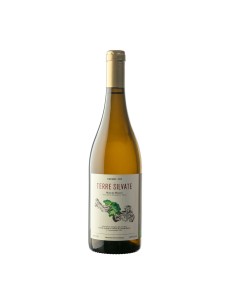 TERRE SILVATE bio 75cl 2024 - LA DISTESA DI DOTTORI CORRADO