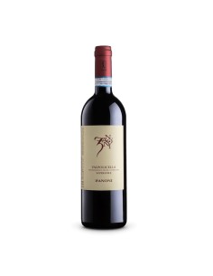 VALPOLICELLA CLASSICO SUPERIORE 75cl 2020 - ZANONI PIETRO