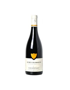 GEVREY-CHAMBERTIN ROUGE bio 75cl 2021 - VERDET AUERELIEN