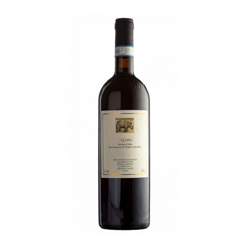 BARBERA D'ALBA VIGNETO GALLINA 75cl 2020 - RIVETTI - LA SPINETTA