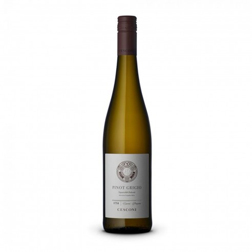 PINOT GRIGIO bio 75cl 2024 - CESCONI