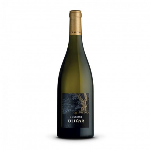 OLIVAR bio 75cl 2023 - CESCONI