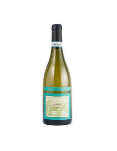 LANGHE BIANCO SAUVIGNON 75cl 2022 - RIVETTI - LA SPINETTA