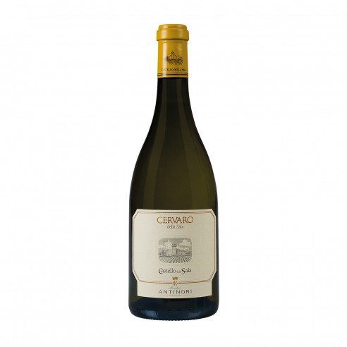 CERVARO DELLA SALA 75cl 2022 - CASTELLO DELLA SALA