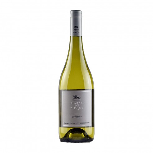 CHARDONNAY 75cl 2023 - HARAS DE PIRQUE