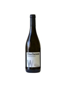 DUCHESSA PASSERINA DEL FRUSINATE 75cl 2024 - GIACOBBE...
