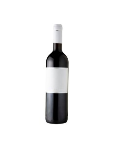 MONOCROMO CESANESE no so2 75cl 2022 - MACCIOCCA