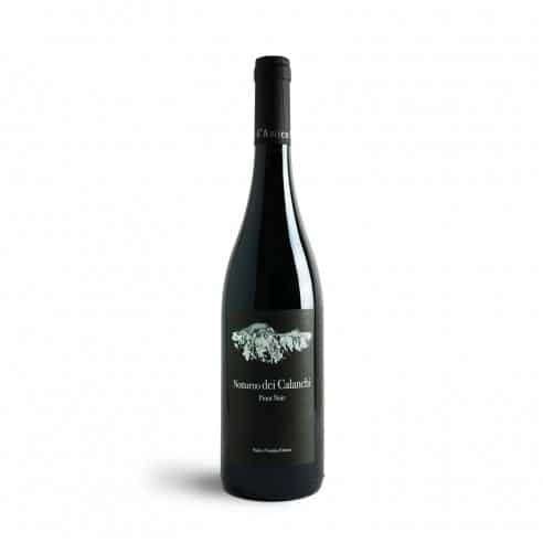 PINOT NERO NOTTURNO DEI CALANCHI 75cl 2021 - D'AMICO NOEMIA E PAOLO