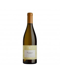 CHARDONNAY CIAMPAGNIS 75cl 2024 - VIE DI ROMANS