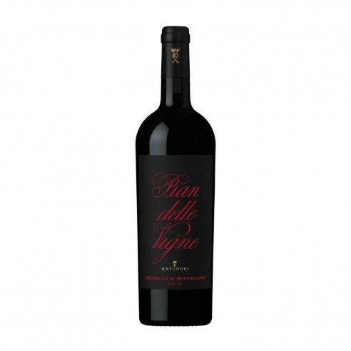 BRUNELLO DI MONTALCINO 75cl 2019 - ANTINORI - PIAN DELLE VIGNE