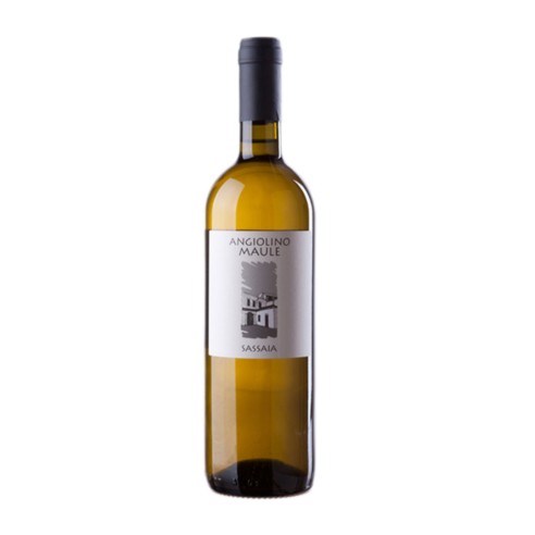 SASSAIA GARGANEGA 75cl 2022 - LA BIANCARA