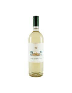 APPIA ANTICA 400 BIANCO BIO 75cl 2025 - TENUTA PRINCIPE...