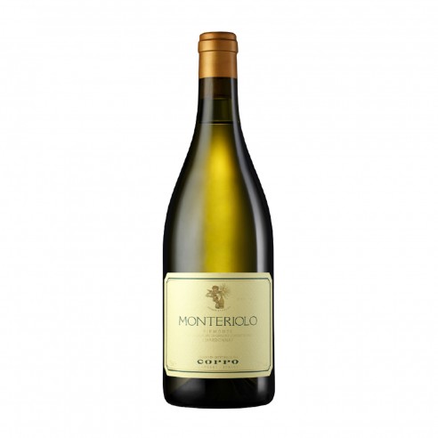 CHARDONNAY MONTERIOLO 75cl 2021 - COPPO