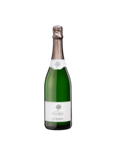 MICHEI TRENTO EXTRA BRUT 75cl - HOFSTATTER