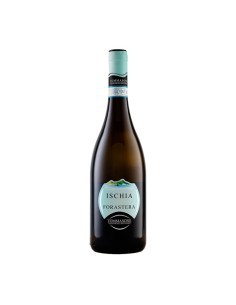 FORASTERA ISCHIA 75cl 2024 - TOMMASONE