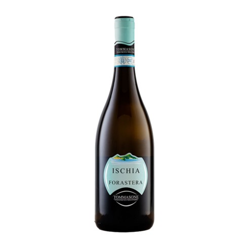 FORASTERA ISCHIA 75cl 2024 - TOMMASONE