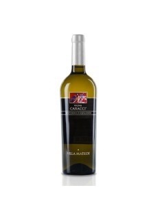 VIGNA CARACCI FALERNO DEL MASSICO 75cl 2015 - VILLA MATILDE