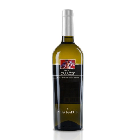 VIGNA CARACCI FALERNO DEL MASSICO 75cl 2015 - VILLA MATILDE