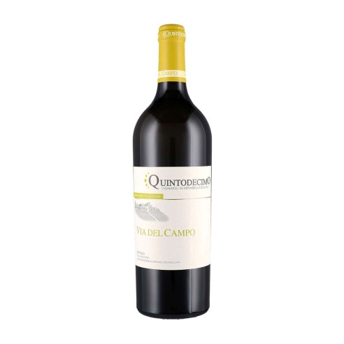 VIA DEL CAMPO FALANGHINA 75cl 2023 - QUINTODECIMO