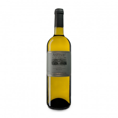 ANTINOO 75cl 2022 - CASALE DEL GIGLIO