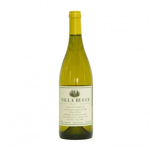 VERDICCHIO RISERVA VILLA BUCCI 75cl 2020 - BUCCI