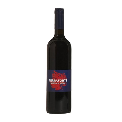 TERRAFORTE 75cl 2017 - CASTELLO DI LISPIDA