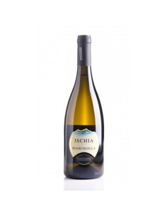 BIANCOLELLA ISCHIA 75cl 2023 - TOMMASONE