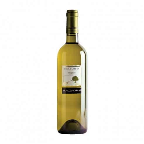 GRECHETTO ANIMA UMBRA 75cl 2023 - CAPRAI A.