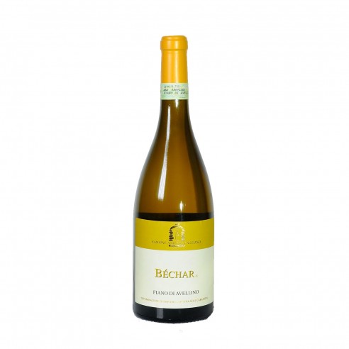 FIANO D'AVELLINO BECHAR 75cl 2023 - CAGGIANO