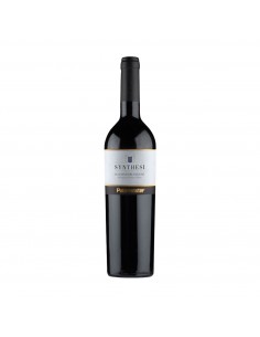 SYNTHESI AGLIANICO DEL VULTURE 75cl 2021 - PATERNOSTER