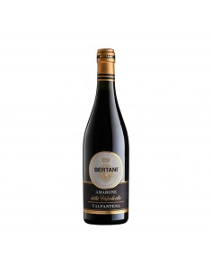 AMARONE VALPANTENA 75cl 2021 - BERTANI