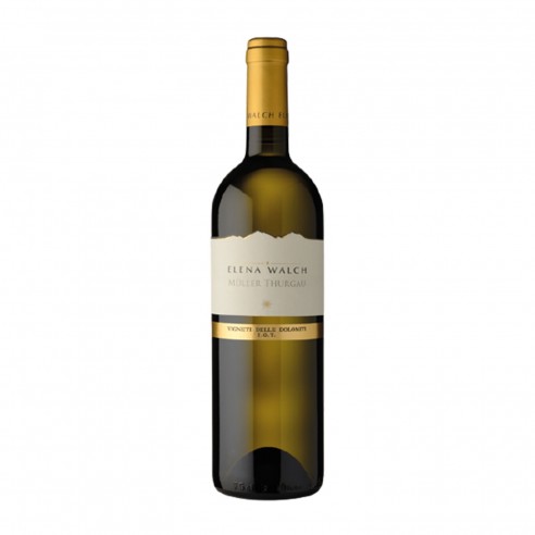 MULLER THURGAU 75cl 2023 - WALCH ELENA