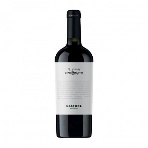 CASTORE BELLONE 75cl 2025 - CANTINA CINCINNATO