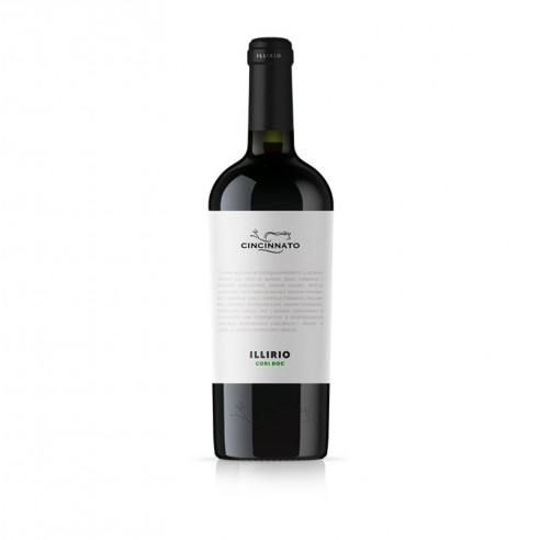 ILLIRIO CORI BIANCO 75cl 2023 - CANTINA CINCINNATO